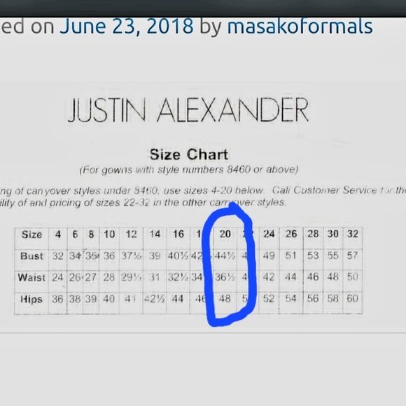 Justin Alexander wedding dress style 9733 size 20 - Picture 12 of 12